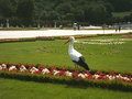 Schönbrunn & Donauinselfest 22222380