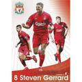 Steven Gerrard 3097300