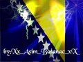 bosna 5619295