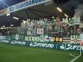 Sk Rapid Wien der Stolz von Hütteld 11234854