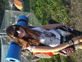 QueFrency 09 66133930