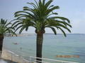 Sprachreise Cannes 2005 4231568