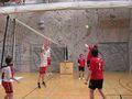 Volleyball Bundesmeisterschaft 36383999