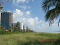 MIAMI BEACH  43592767