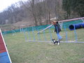 Agility ÖGV Schwanenstadt 17300096