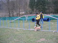 Agility ÖGV Schwanenstadt 17300109