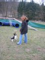 Agility ÖGV Schwanenstadt 17300331