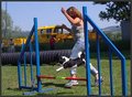 Agility ÖGV Schwanenstadt 20364950