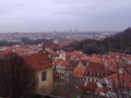 Prag/Dresden  31034771