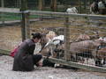 Tierpark 3408703