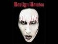 Marilyn Manson 14213842