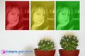 Fakemypic Album 47752670