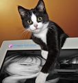 Fakemypic Album 47752711