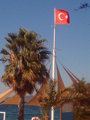 Türkei  *Bodrum 2007* 28956699