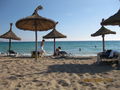 Urlaub Mallorca 09 63141876