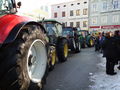 Fasching in Eferding 2010 71862480