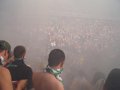 SK RAPID WIEN    MEISTER 2008 30251807