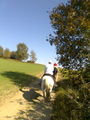 Wanderreiten vom 04.-07.10.09 67786769