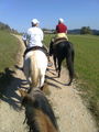 Wanderreiten vom 04.-07.10.09 67786770