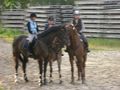 Springstunde beim Hörbi 38757800