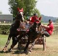 CAI Altenfelden 2008 40079601