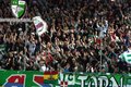 DERBY!!! RAPID 3 - Verteilerkreis 0 19768533