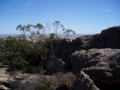 Great Ocean road Tour 33176627