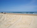 Fraser Island 49525980