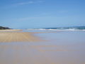 Fraser Island 49526008