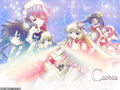 Chobits 36165199