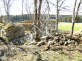 Die Burg 58046222