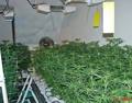 Wos Zum CHILLN 31183270