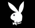 playboy hasen 4630217