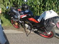 Moped-Treffen in Pennewang !!! 23701845