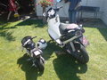 My New Mini-Bike !! 24409861