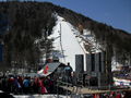 Planica 2009 56519137