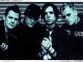 GOOD CHARLOTTE 10641177