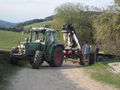 Maibaumsetzen Bauhütte 2010 73271499