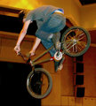 Bmxer 23980823