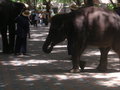 Bangkok 27951534