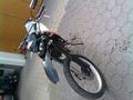 Aprilia RX50 73056619