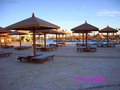 Urlaub -> Makadi bay 20737084