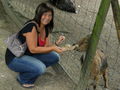 Tierpark Stadt Haag 39308939