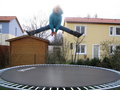 Am Trampolin 14946929