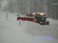 Skifahren - Saalbach- Hinterglemm 54428547