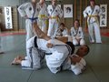 HapKiDo Sommertrainingslager 07 27125289