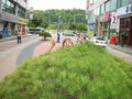 Korea 2008 42204580