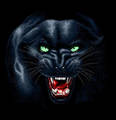 PanThEr 7249531