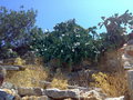 KRETA 2007 25710711