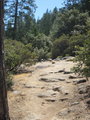 Yosemite NP - Las Vegas - Grand Canyon 25979291